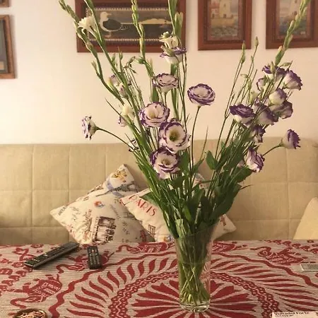 Arruzafa Front - Free Parking شقة *